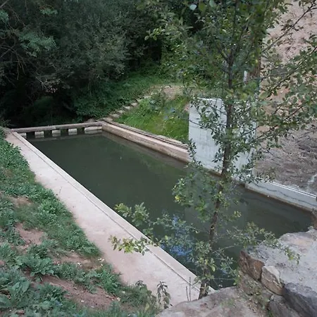 Molino Manolo *